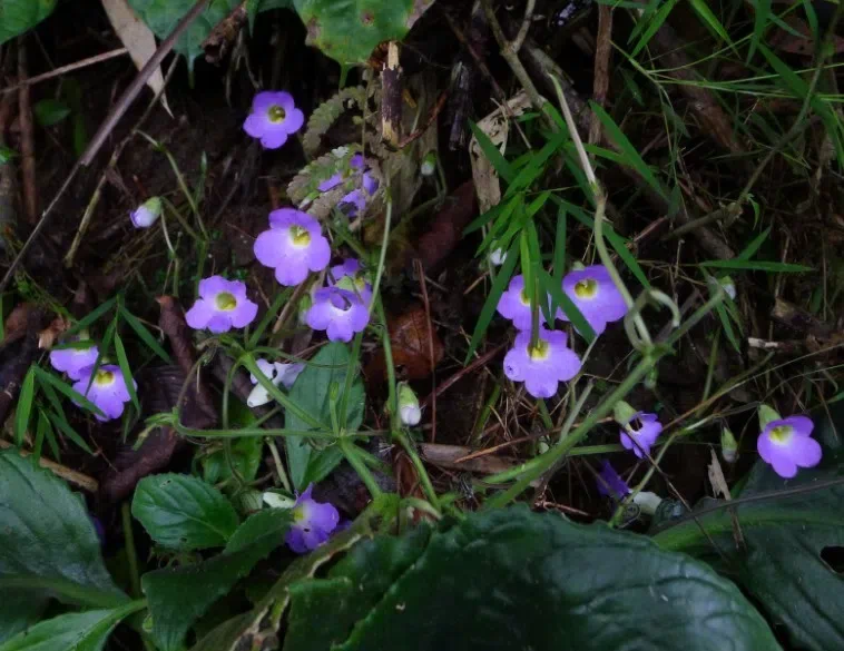 Field Investigation by Month April 2013