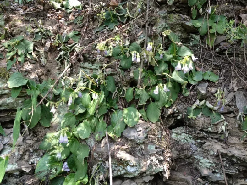 Field Investigation by Month July, 2013