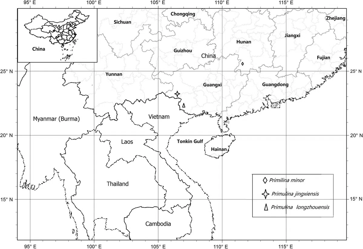 The newest published taxa of Gesneriaceae of China and/or nearby areas  before 31 December, 2013