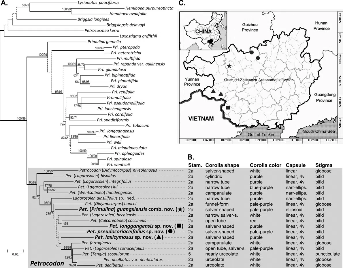 The newest published taxa of Gesneriaceae of China and/or nearby areas  before 28 February, 2014