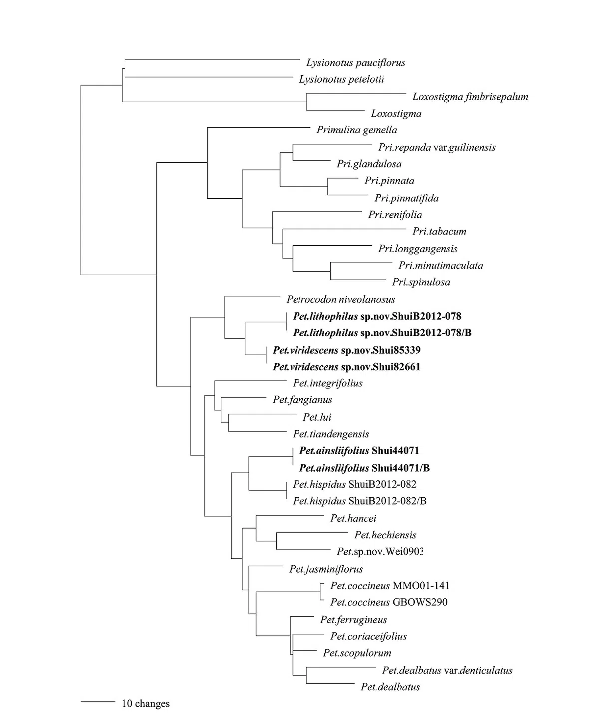 The newest published taxa of Gesneriaceae of China and/or nearby areas  before 31 May, 2014