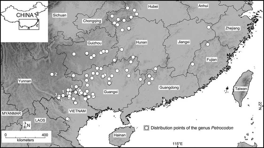 The newest published taxa of Gesneriaceae of China and/or nearby areas  before 31 May, 2014