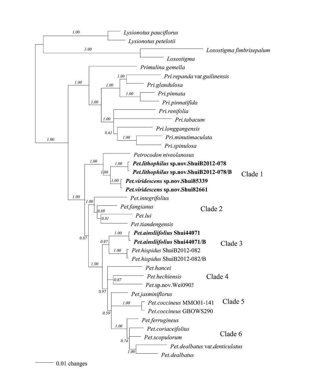 The newest published taxa of Gesneriaceae of China and/or nearby areas  before 31 May, 2014