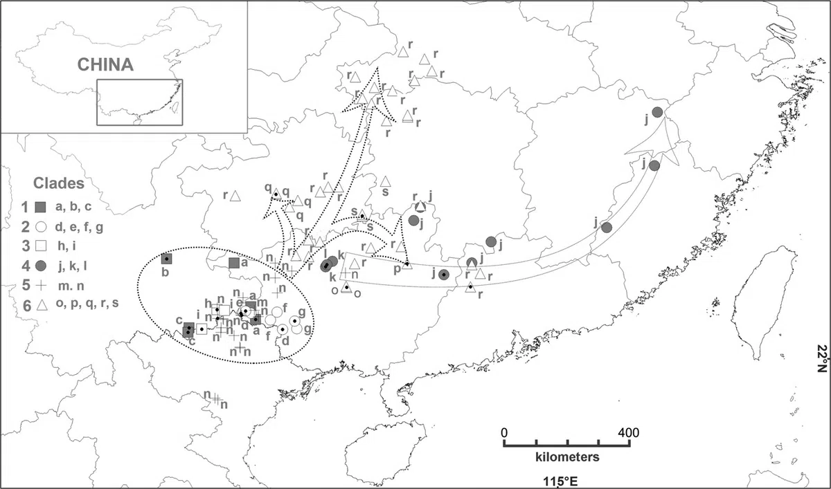 The newest published taxa of Gesneriaceae of China and/or nearby areas  before 31 May, 2014