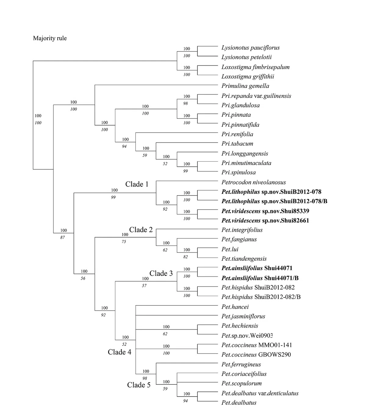 The newest published taxa of Gesneriaceae of China and/or nearby areas  before 31 May, 2014