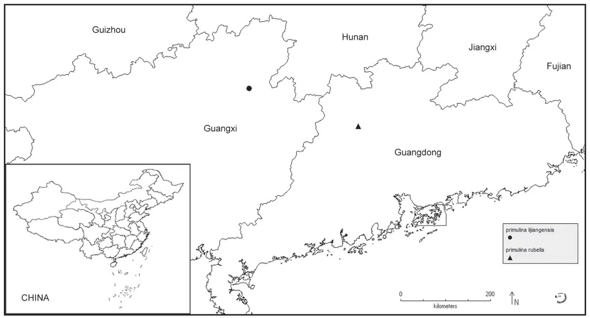 The newest published taxa of Gesneriaceae form China before 31 December 2017 (11)