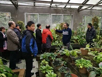 广西植物学会成员参观中国苦苣苔科植物保育中心（Gesneriad Conservation Center of China，GCCC）