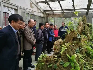 The members of Guangxi Botany Academy visited the Gesneriad Conservation Center of China，GCCC