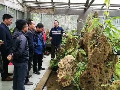 The members of Guangxi Botany Academy visited the Gesneriad Conservation Center of China，GCCC