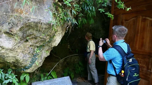 世界苦苣苔协会代表团一行访问桂林植物园和中国苦苣苔科植物保育中心并合作对贵州、广西、安徽和江西的苦苣苔科植物进行野外实地考察