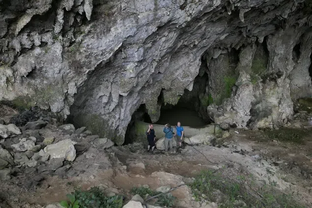 The Gesneriad Society delegation visited Guilin Botanical Garden and GCCC, andinvestigated the Gesneriad plants in the field (Guizhou, Guangxi, Anhui and Jiangxi), accompanied by members of 