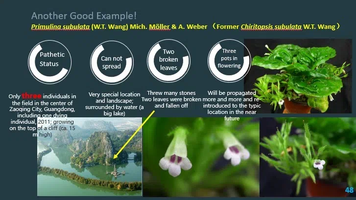 温放博士参加印度尼西亚茂物植物园举办的“热带植物保育与利用国际研讨会”并在会议上做有关于GCCC的相关报告