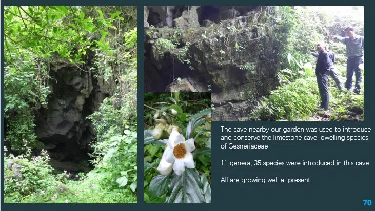 Dr. Wen Fang made an Invited Lecture about GCCC at International Conference on Tropical Plant Conservation and Utilization in Bogor Botanic Garden, Bogor, Indonesia