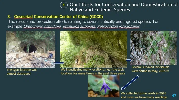 Dr. Wen Fang made an Invited Lecture about GCCC at International Conference on Tropical Plant Conservation and Utilization in Bogor Botanic Garden, Bogor, Indonesia