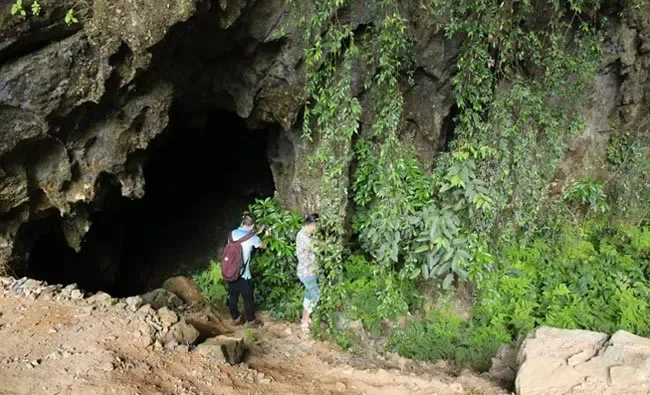 上海辰山植物园陈彬博士应邀来桂林植物园和GCCC开展学术活动