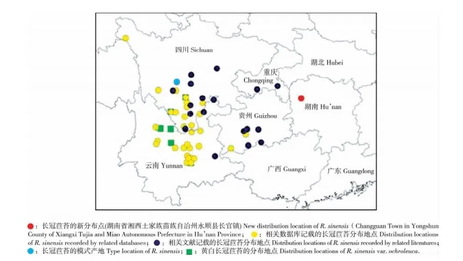 The newest published taxa of Gesneriaceae form China before 31 December 2015 (1)