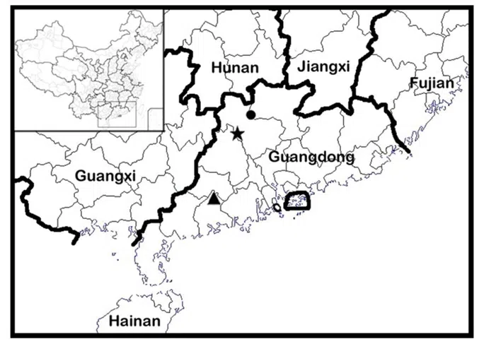 The newest published taxa of Gesneriaceae form China before 31 December 2015 (20)