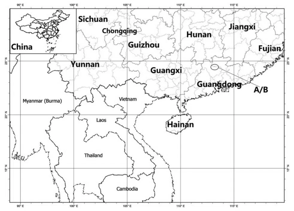 The newest published taxa of Gesneriaceae form China before 31 December 2016 (5)