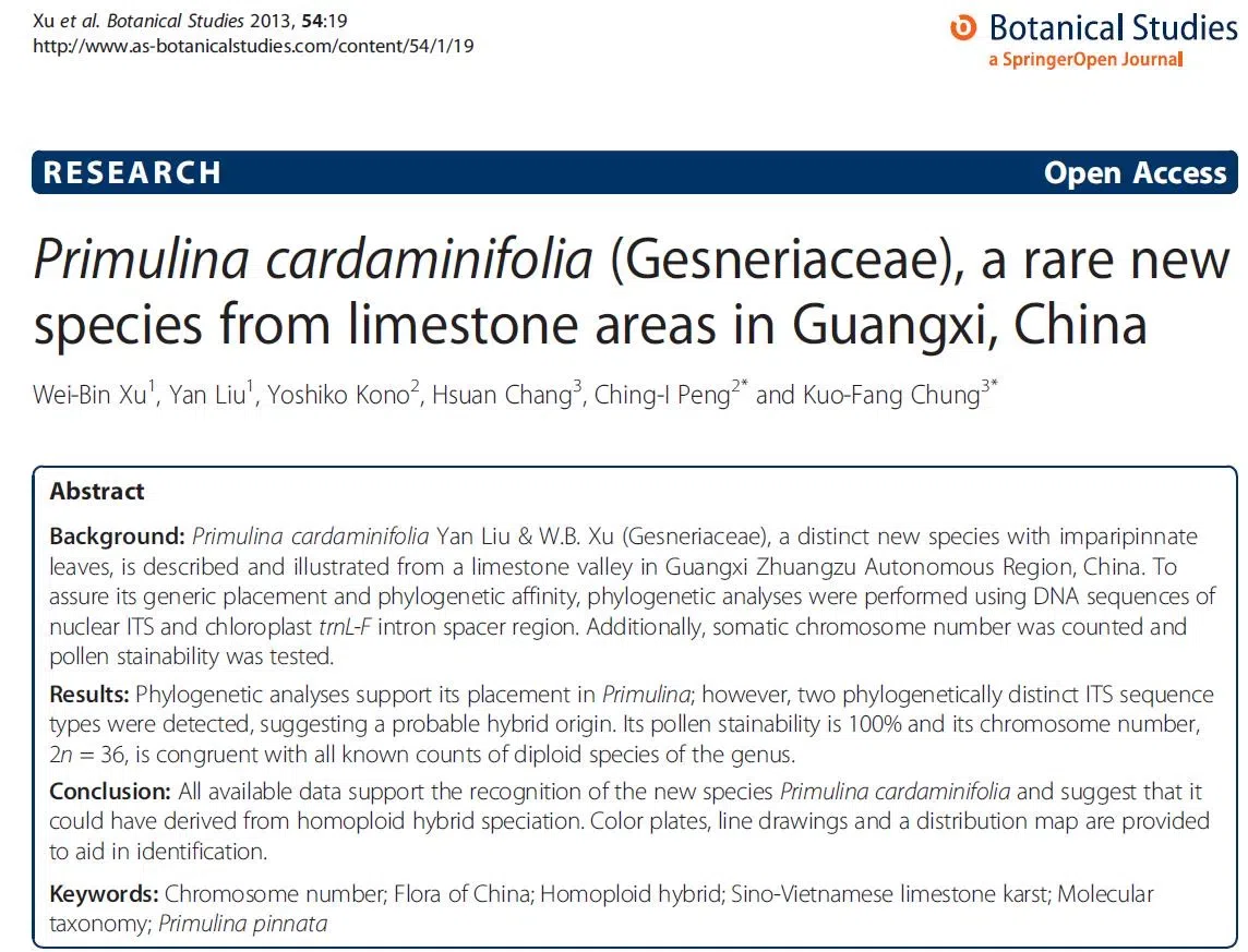 Big Surprise! Primulinacardaminifolia, an extremely endemic species of Primulina was rediscovered today!