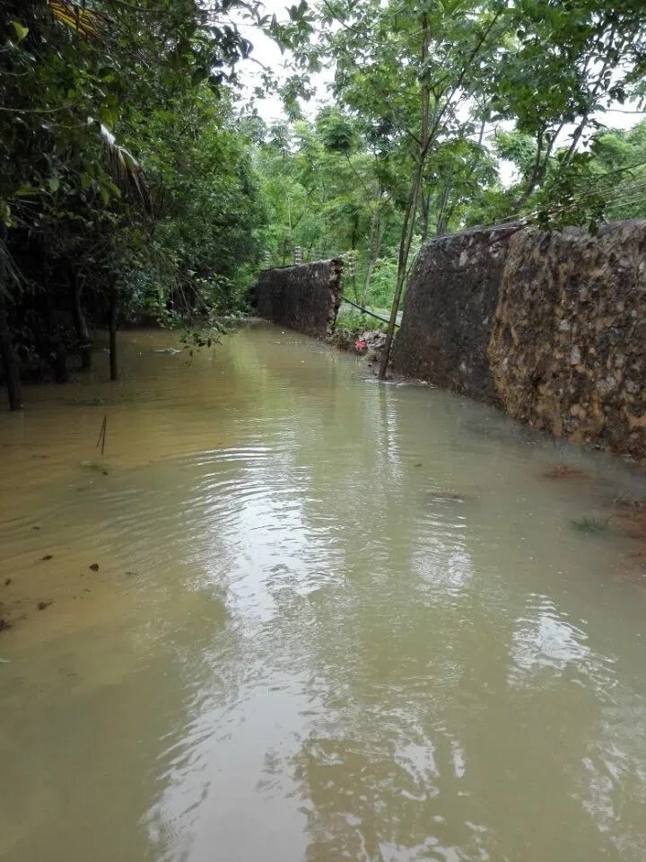 The conservation Nursery of GCCC was hit and nearly destroyed by a terrible flood at 1st July