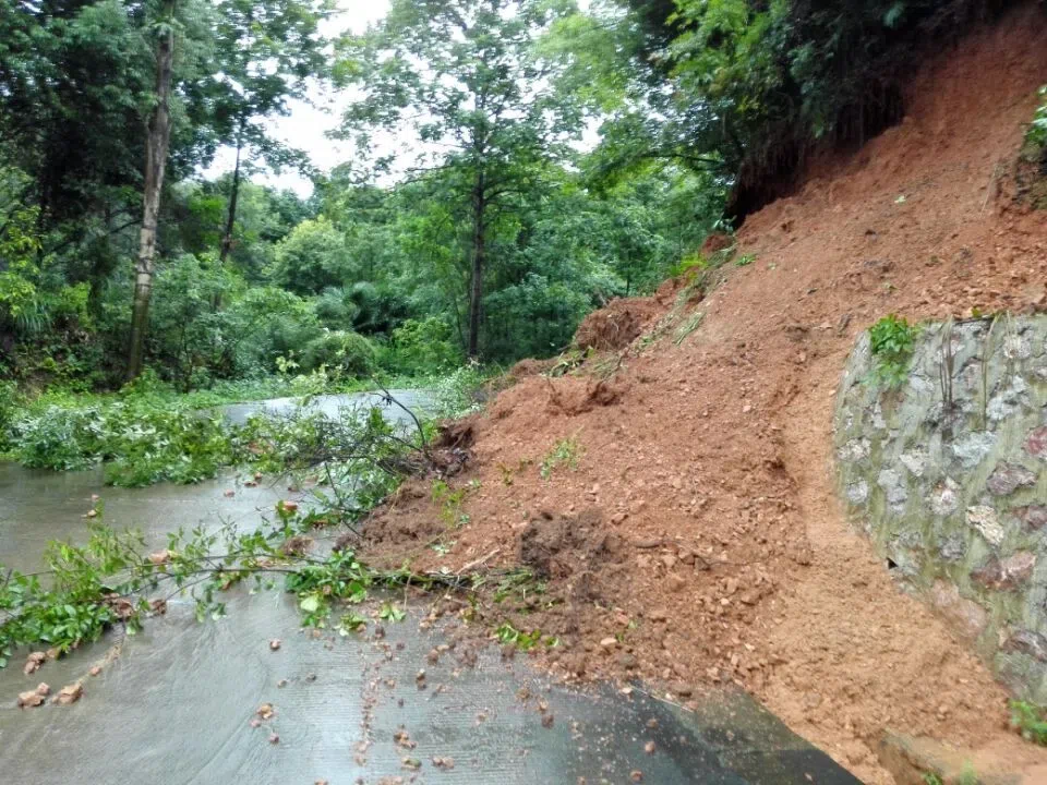 The conservation Nursery of GCCC was hit and nearly destroyed by a terrible flood at 1st July