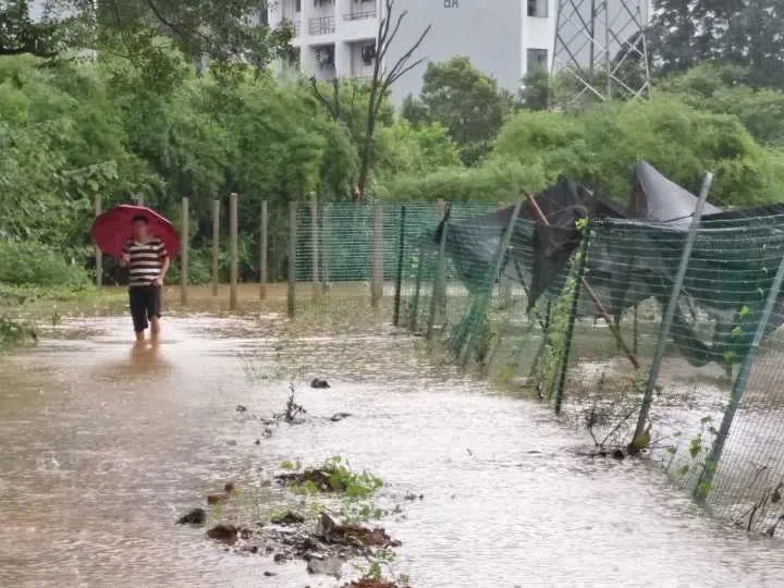 The conservation Nursery of GCCC was hit and nearly destroyed by a terrible flood at 1st July