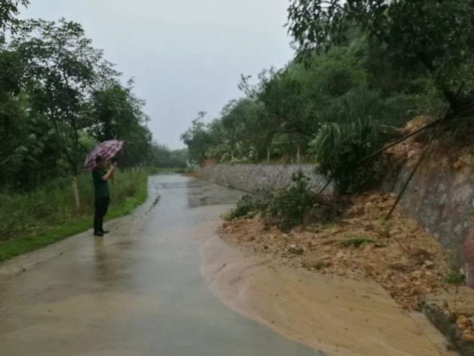 The conservation Nursery of GCCC was hit and nearly destroyed by a terrible flood at 1st July