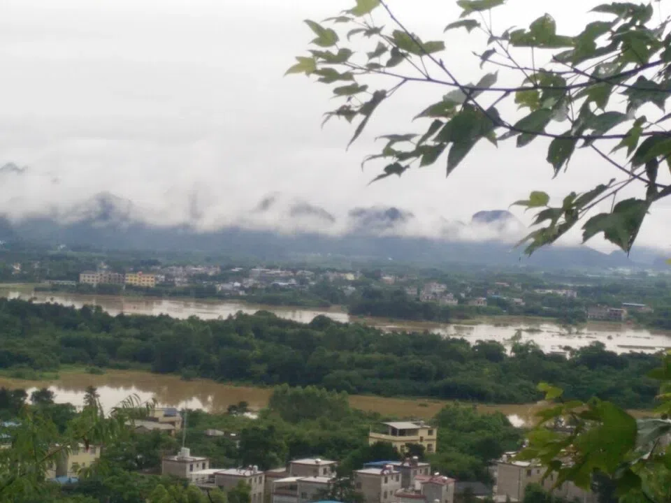 The conservation Nursery of GCCC was hit and nearly destroyed by a terrible flood at 1st July