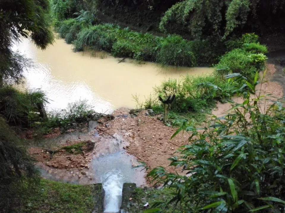 The conservation Nursery of GCCC was hit and nearly destroyed by a terrible flood at 1st July