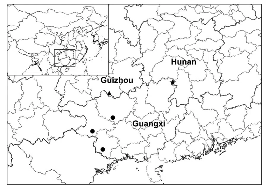 The newest published taxa and newest record of Gesneriaceae from China before 31 December 2017 (25)