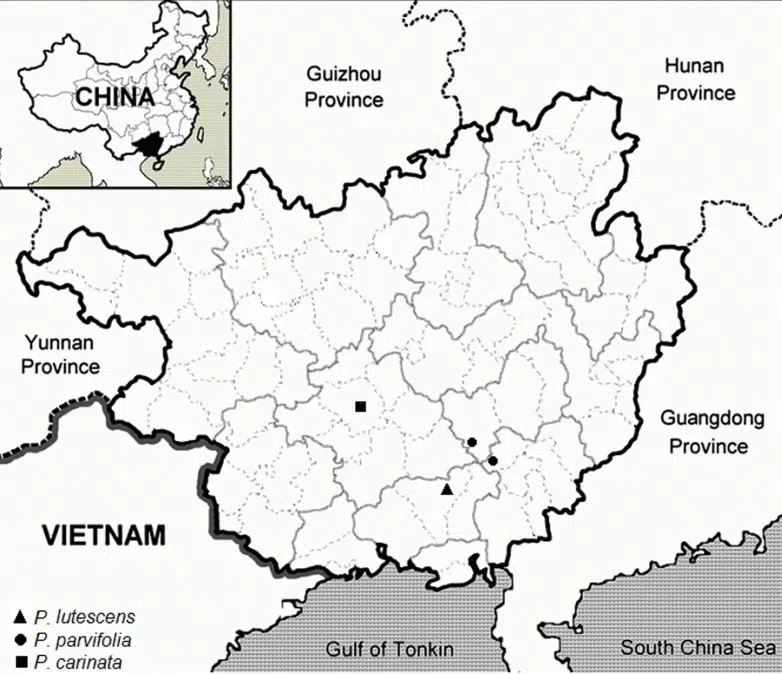 The newest published taxa and newest record of Gesneriaceae from China before 31 December 2017 (23)