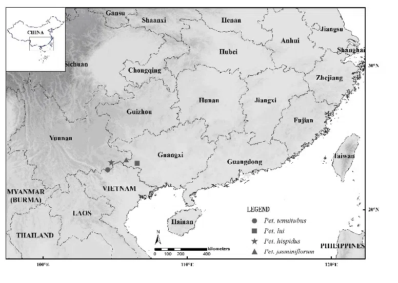 The newest published taxa and newest record of Gesneriaceae from China before 31 December 2018 (14)