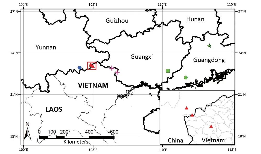 The newest published taxa and newest record of Gesneriaceae from China before 31 December 2018 (3)