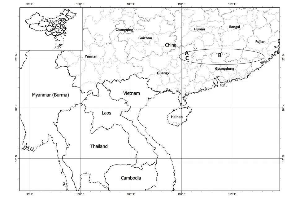 The newest published taxa and newest record of Gesneriaceae from China before 31 December 2018 (5)