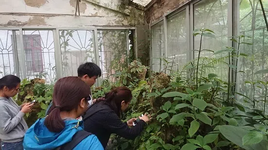 深圳市中国科学院仙湖植物园GCCC（深圳）访问桂林植物园和GCCC