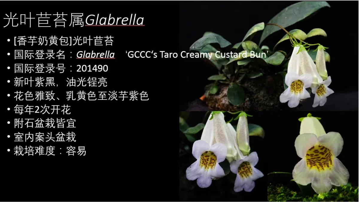 GCCC was invited to attend The First Guangxi Flowers & Seedlings Fair