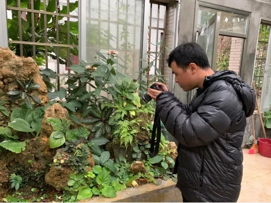 Two members of Cangshan Nature Conservation Center visit Guilin Botanical Garden and GCCC  