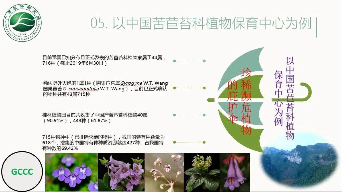 老挝环境保护与环境评估研修班（ຊຸດຝຶ ກອົ ບຮົ ມການຮັ ກສາສິ ່ ງແວດລ້ ອມແລະການປະເີມນສິ ່ ງແວດລ້ ອມ ສປປ ລາວີປ）访问广西壮族自治区中国科学院广西植物研究所及中国苦苣苔科植物保育中心