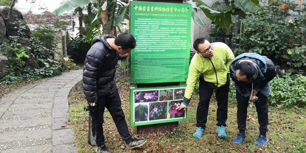 Two members of Cangshan Nature Conservation Center visit Guilin Botanical Garden and GCCC  