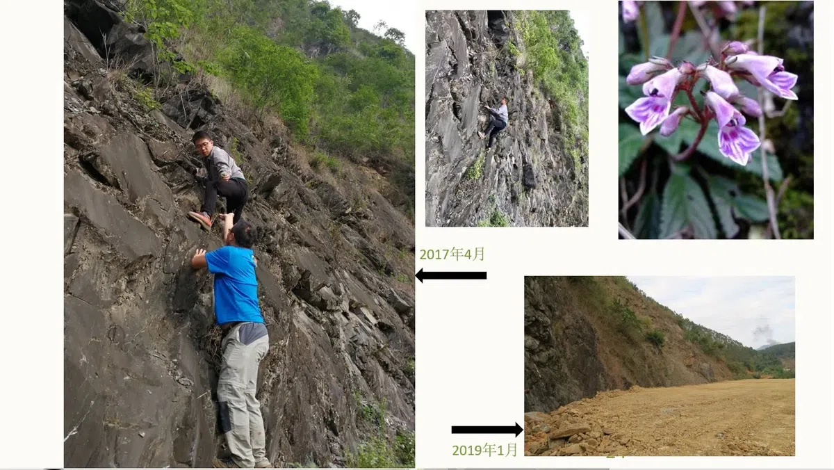 Environment Protection and Evaluation Seminar of Laos visited Guangxi Institute of Botany, CAS (GXIB) and The Gesneriad Conservation Center of China (GCCC)