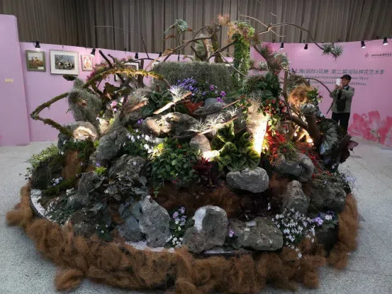 Dr./Prof. Wen Fang was invited to attend the 6th Gsneriad Flower Show (African Violet) in Shanghai Botanical Garden, dubbed “Mysterious Love, Everlasting Garden”, then made a presentation