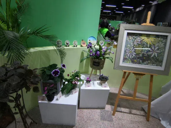 Dr./Prof. Wen Fang was invited to attend the 6th Gsneriad Flower Show (African Violet) in Shanghai Botanical Garden, dubbed “Mysterious Love, Everlasting Garden”, then made a presentation