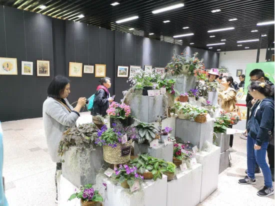 Dr./Prof. Wen Fang was invited to attend the 6th Gsneriad Flower Show (African Violet) in Shanghai Botanical Garden, dubbed “Mysterious Love, Everlasting Garden”, then made a presentation