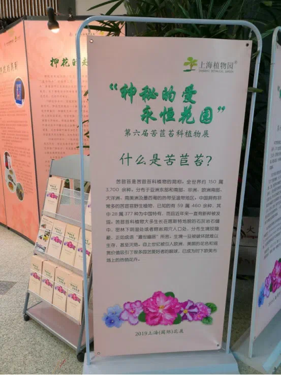 Dr./Prof. Wen Fang was invited to attend the 6th Gsneriad Flower Show (African Violet) in Shanghai Botanical Garden, dubbed “Mysterious Love, Everlasting Garden”, then made a presentation