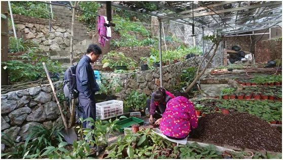 越南科学与技术工程院生态与生物资源研究所植物资源学部Nguyen SinhKhang博士和Do Van Hai博士到访广西植物研究所和GCCC开展学术交流