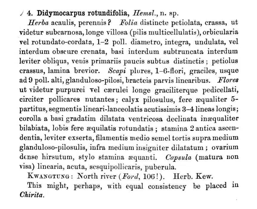 The Pride of Gesneriad Plants: Primulina rotundifolia (Hemsl.) Mich. Möller & A. Weber, is Probably the First Collection Record in the Plants Taxonomy History of China