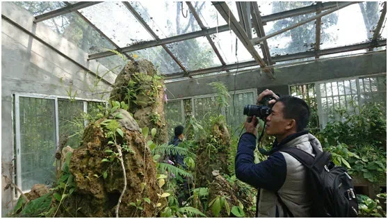 越南科学与技术工程院生态与生物资源研究所植物资源学部Nguyen SinhKhang博士和Do Van Hai博士到访广西植物研究所和GCCC开展学术交流