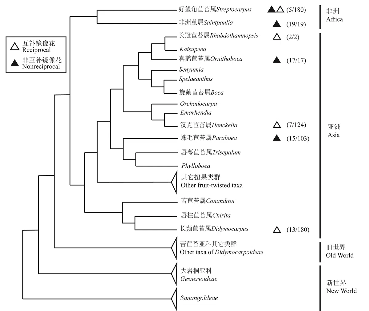 New Research Results from China in 2019 （1）