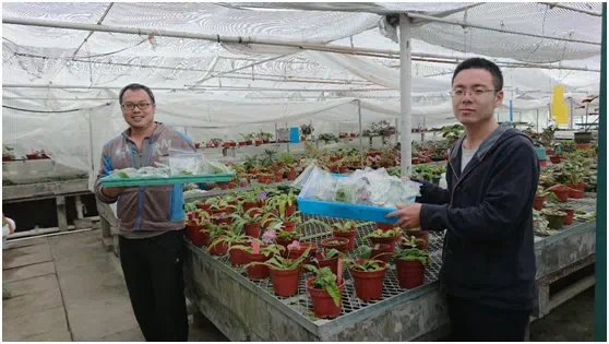 The Delayed News: Dr Fang Wen & Research Assistant Ms. Shu Li visited Shanghai Botanical Garden (SHBG) and carries out exchanges of experiences &Gesneriads Germplasm resources