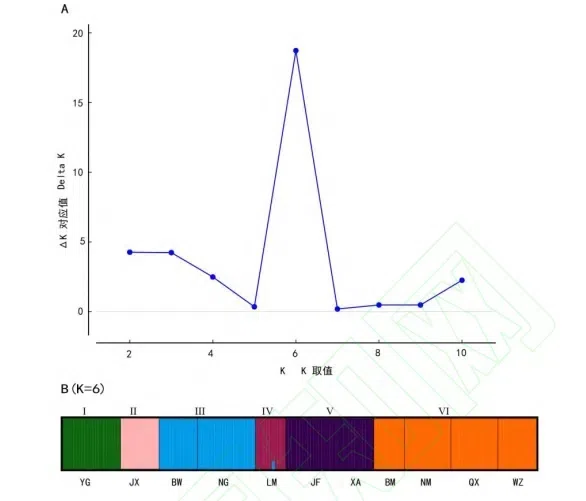 New Research Results from China in 2019 （3）